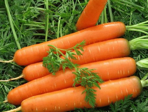 заговор при посадки, морковки, картошки, огурцов, чеснока, перца, овощей